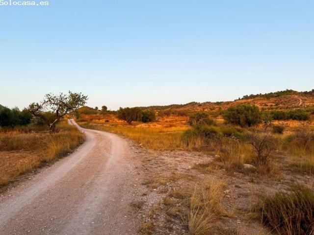 Finca rustica en Venta en Abanillas, Murcia