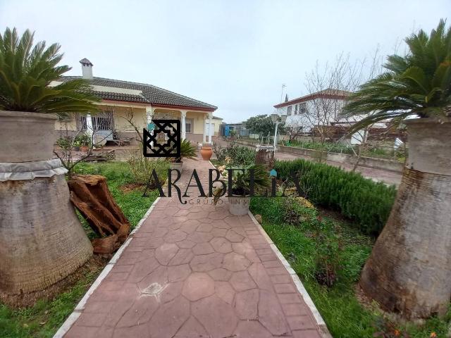Finca rústica en Venta en Alcolea