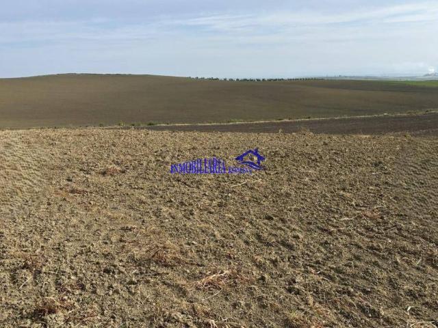Finca rústica en Venta en Alcolea