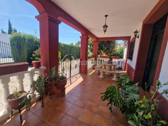 Finca rústica en Venta en Alcolea