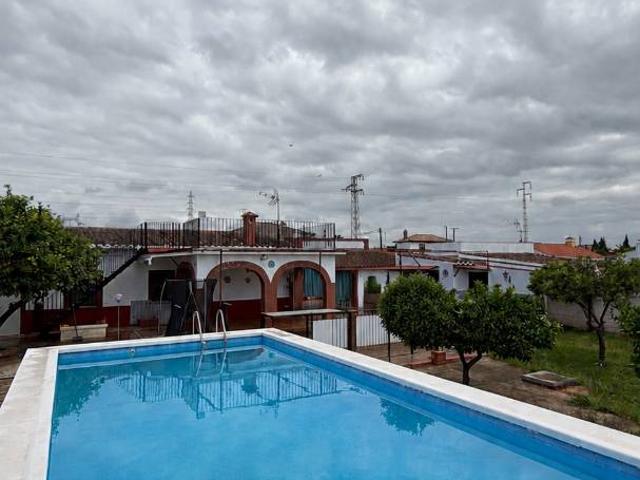 Finca rústica en Venta en Alcolea