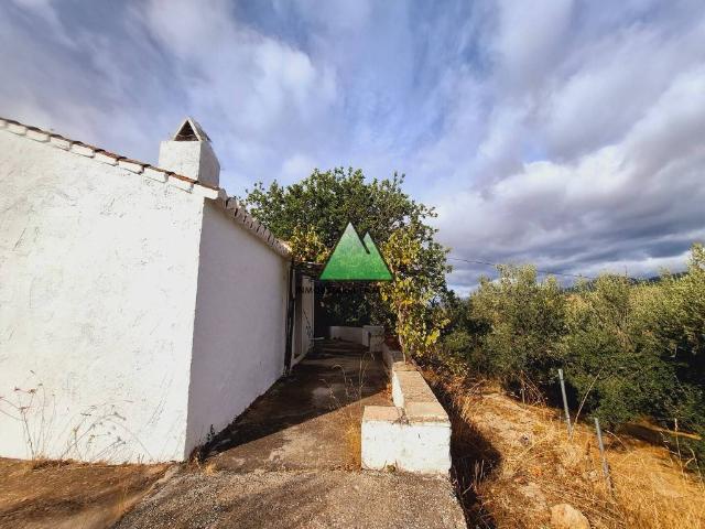 Finca rústica en Venta en Alcaucín