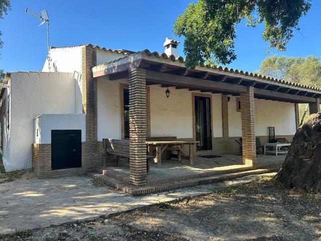 Finca rústica en Venta en Alcalá de los Gazules