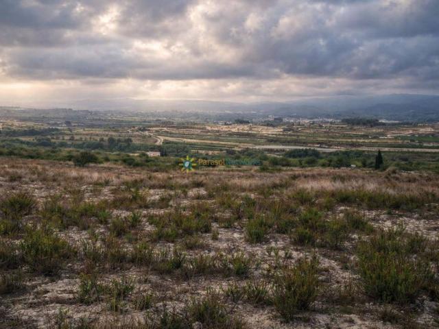 Finca rústica en Venta en Albaida