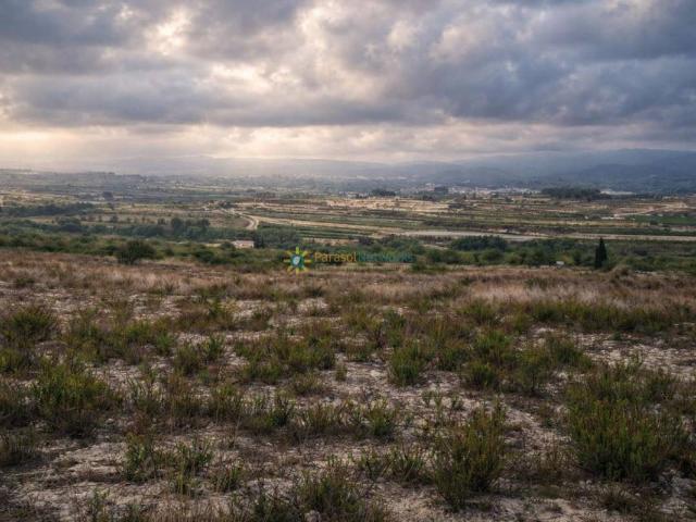 Finca rústica en Venta en Albaida