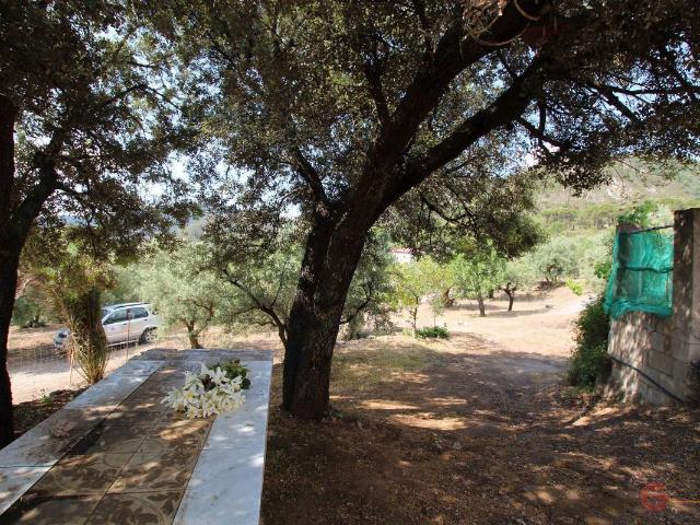 Finca rústica en Venta en Albuñuelas