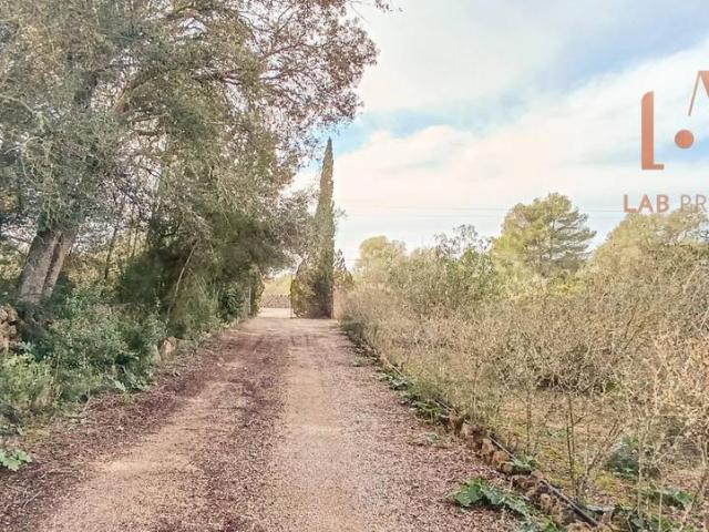 Finca rústica en Venta en Algaida