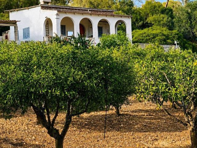 Finca rústica en Venta en Algaida