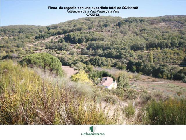 Finca rústica en Venta en Aldeanueva de la Vera