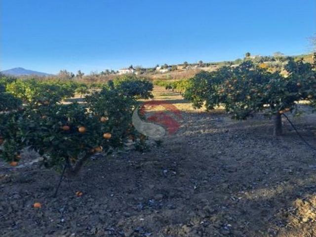 Finca rustica en Venta en Alhaurín el Grande, Málaga
