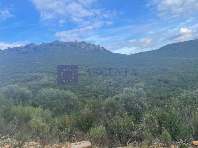 Finca rústica en Venta en Aliseda