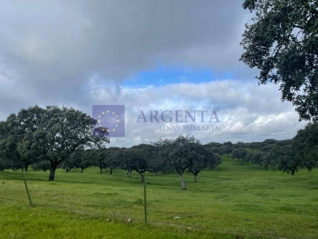 Finca rústica en Venta en Aliseda