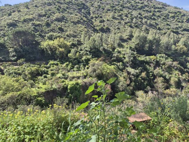 Finca rústica en Venta en Alozaina