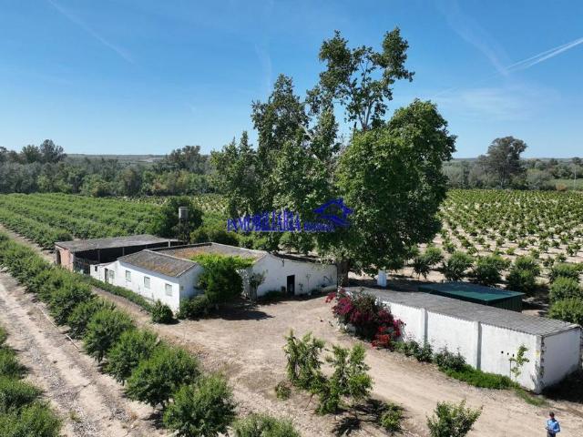 Finca rústica en Venta en Almodóvar del Río
