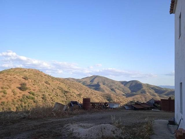 Finca rústica en Venta en Almogía
