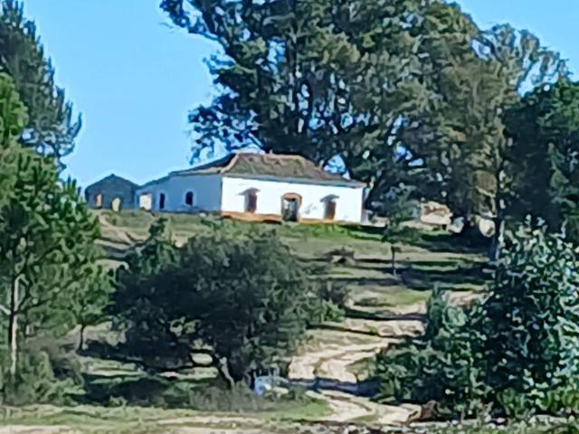 Finca rústica en Venta en Almonte ciudad