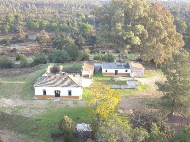 Finca rústica en Venta en Almonte ciudad