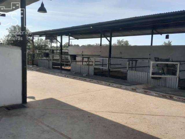 Finca rústica en Venta en Almonte ciudad