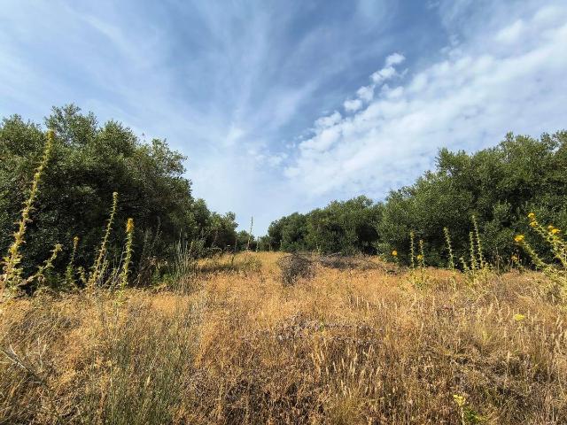 Finca rústica en Venta en Arcos de la Frontera