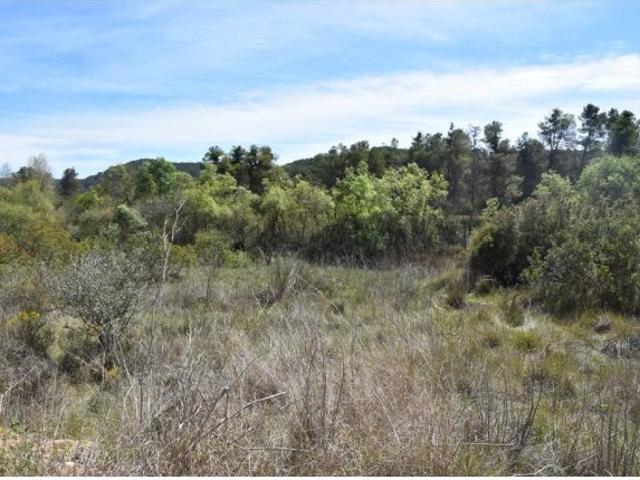 Finca rustica en Venta en Arenys de Lledó Arens de Lledó, Teruel