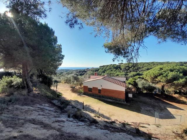 Finca rústica en Venta en Arenys de Munt