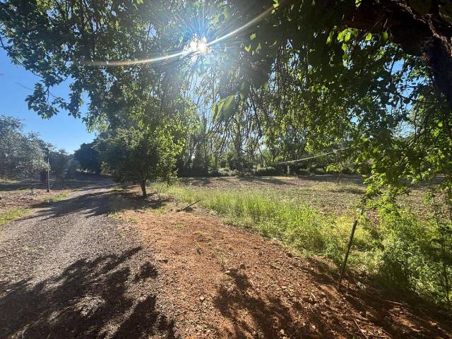 Finca rústica en Venta en Área Rural Valverde Las Casas