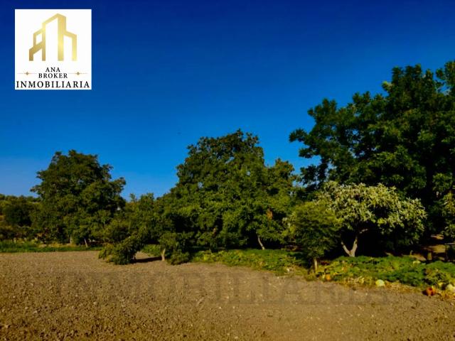 Finca rústica en Venta en Arriate