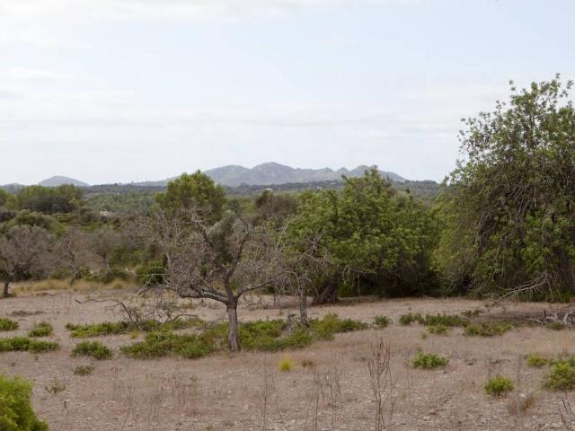 Finca rústica en Venta en Artà Poble
