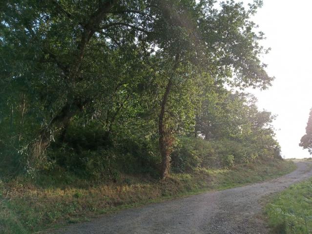 Finca Rústica en Venta en Arteijo, La Coruña