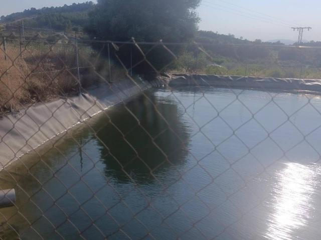 Finca rústica en Venta en Bullas