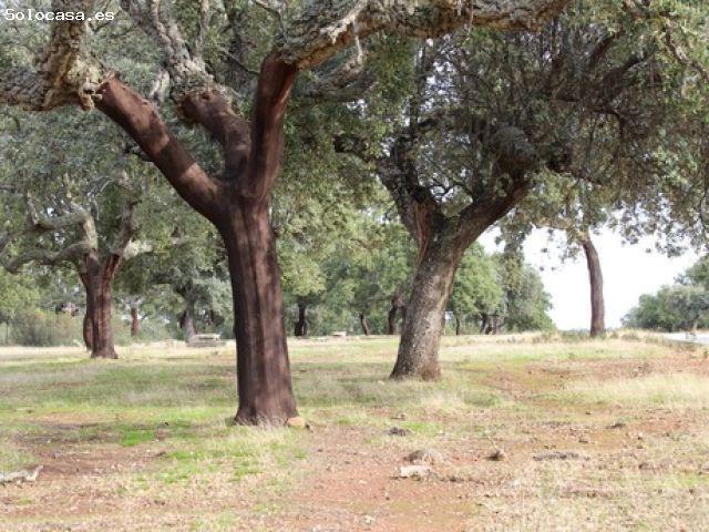 Finca rustica en Venta en Badajoz, Badajoz