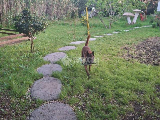 Finca rústica en Venta en Barbate ciudad