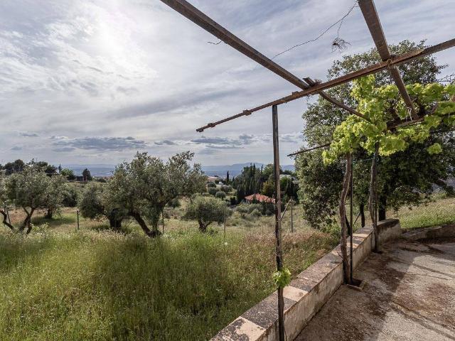 Finca rústica en Venta en Barrio de la Vega