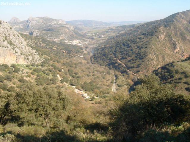 Finca rustica en Venta en Benaoján, Málaga
