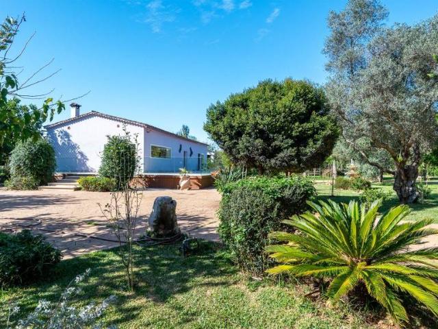 Finca rústica en Venta en Binissalem