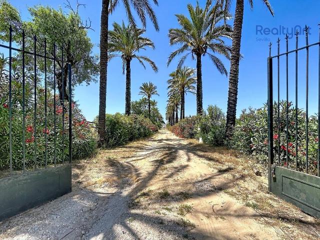 Finca rústica en Venta en Bollullos de la Mitación