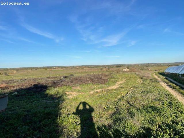 Finca rustica en Venta en Bollullos par del Condado, Huelva