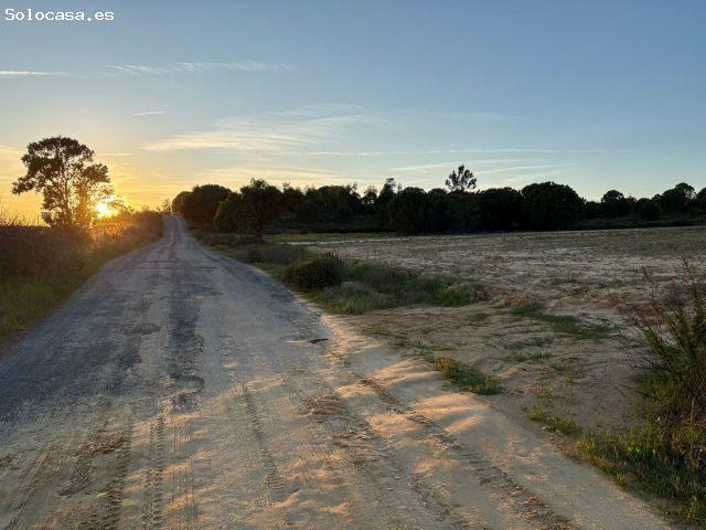Finca rustica en Venta en Bollullos par del Condado, Huelva