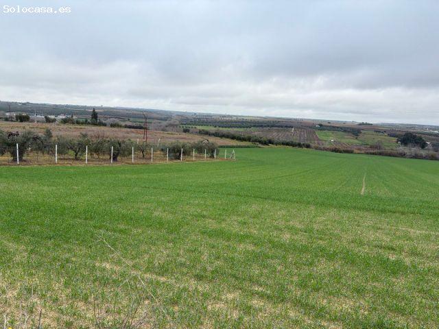 Finca rustica en Venta en Bollullos par del Condado, Huelva