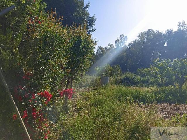 Finca rústica en Venta en Bornos