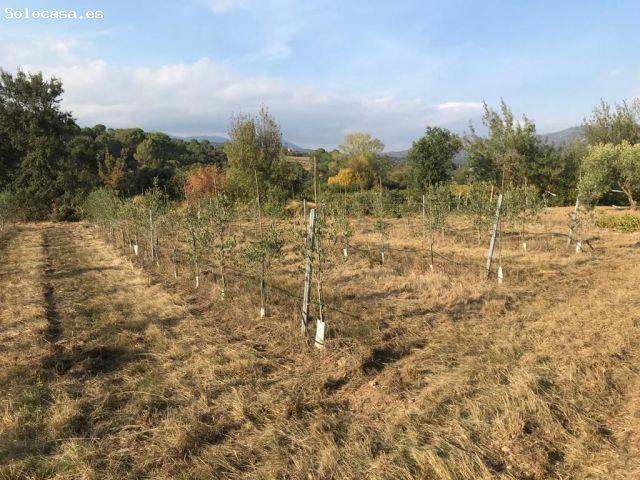 Finca rustica en Venta en Brabos, Girona