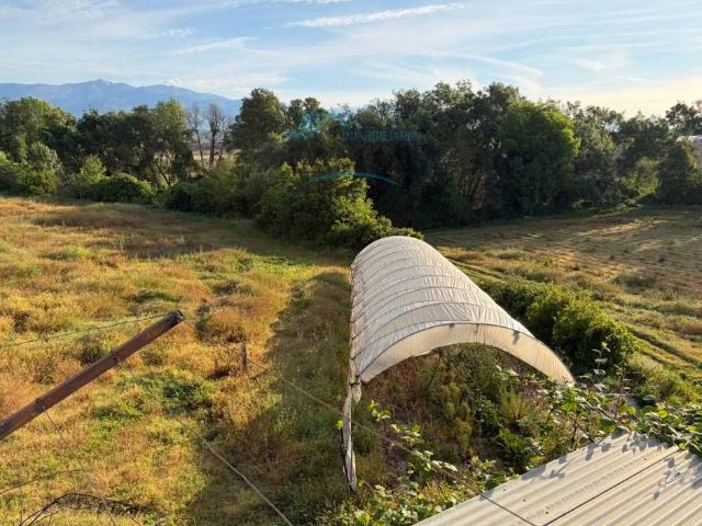 Finca rústica en Venta en Cuacos de Yuste
