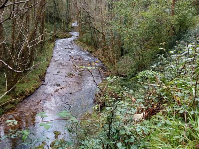 Finca rústica en Venta en Cudillero