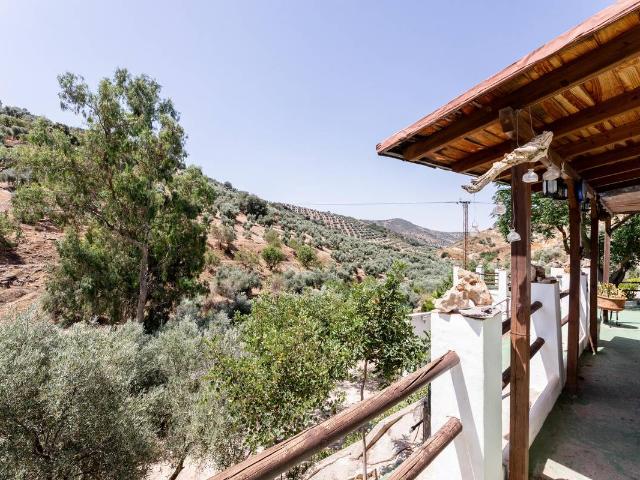Finca rústica en Venta en Cuevas de San Marcos