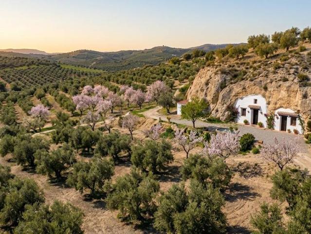 Finca rústica en Venta en Cúllar
