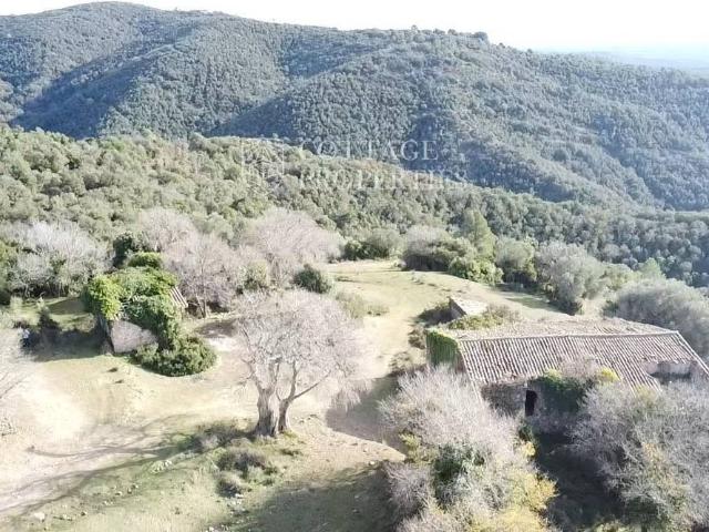 Finca rústica en Venta en Cabanelles