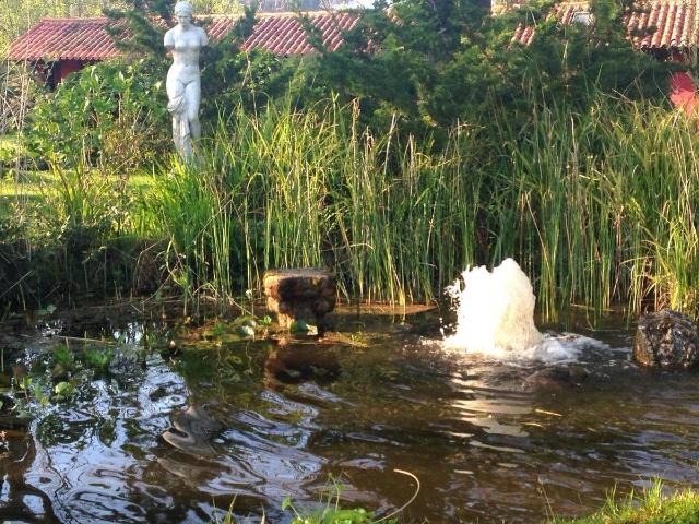 Finca rústica en Venta en Cabuérniga