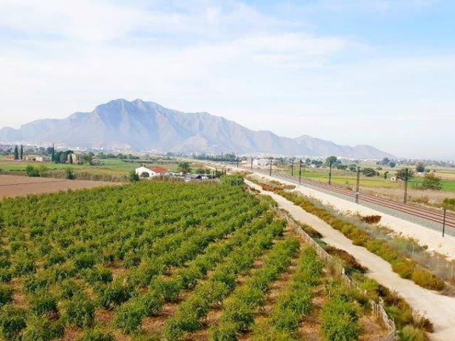 Finca rústica en Venta en Callosa de Segura
