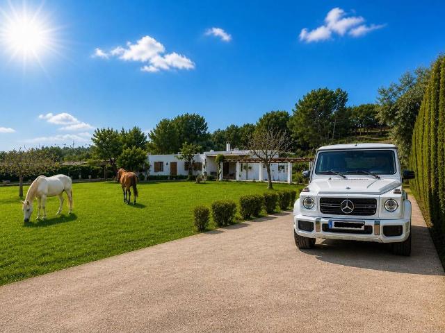 Finca rústica en Venta en Calvià pueblo