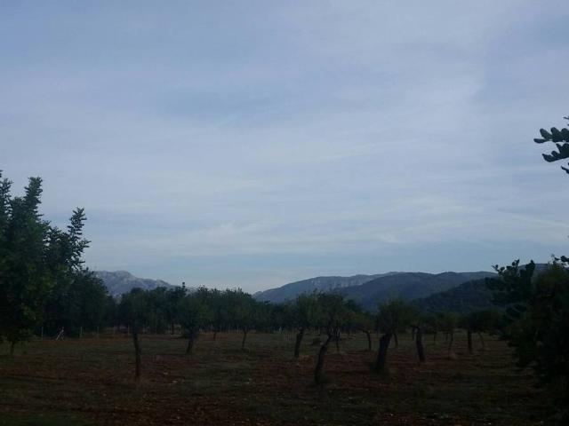 Finca rústica en Venta en Campanet